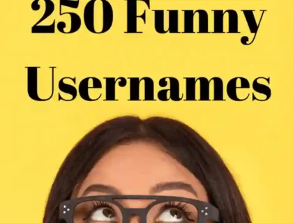 Funny Usernames