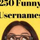 Funny Usernames