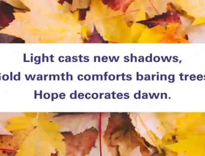 Haiku
