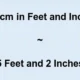 157 Cm In Feet